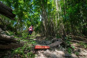 BIB: 
                            <button type="button" onclick="openModal(19394180)" class="btn btn-primary btn-sm float-right btn-popup" data-toggle="modal" data-target=".modal-high-quality">
                        <i class="fas fa-shopping-cart"></i> Add to Cart
                    </button>
                                            <button type="button" onclick="isThisMe(19394180, true)" class="btn btn-success btn-sm float-right btn-popup btn-isme hidden" data-toggle="tooltip" data-placement="bottom" title="นี่คือรูปของคุณใช่ไหม คลิกที่นี่เพื่อเอาเข้าอัลบั้ม">
                        <i class="fas fa-plus"></i> Add to album
                    </button>
                    <button type="button" onclick="isThisMe(19394180, false)" class="btn btn-warning btn-sm float-right btn-popup btn-isnotme hidden">
                        <i class="fas fa-ban"></i> Remove from album
                    </button>